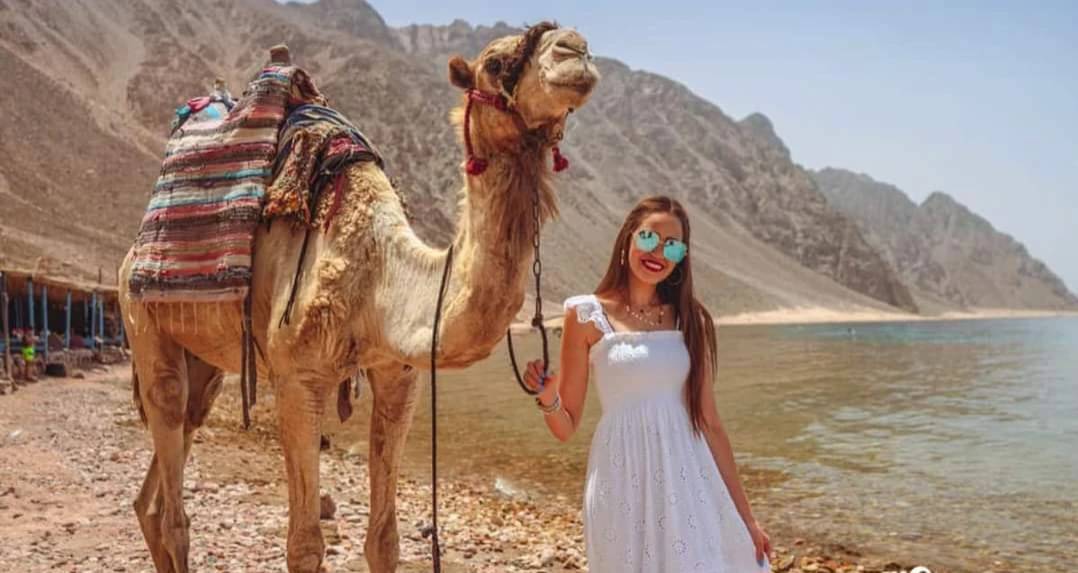 El Oasis de Siwa Todo Incluido 4 Días de Alejandría (hispanohablantes)